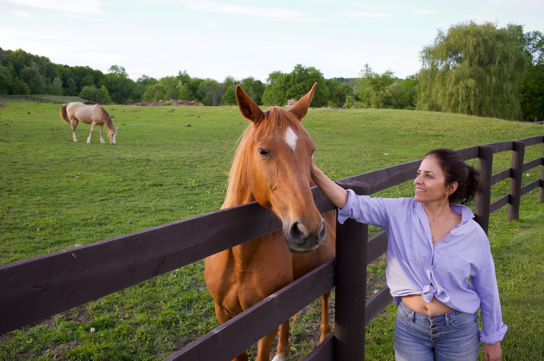 Lisa Weinert greeting a chestnut horse across a pasture fence, another horse grazing beyond